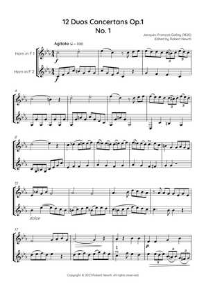 Gallay - 12 Duos Concertans Op. 1 No. 1 'Agitato' (for Horn Duet)