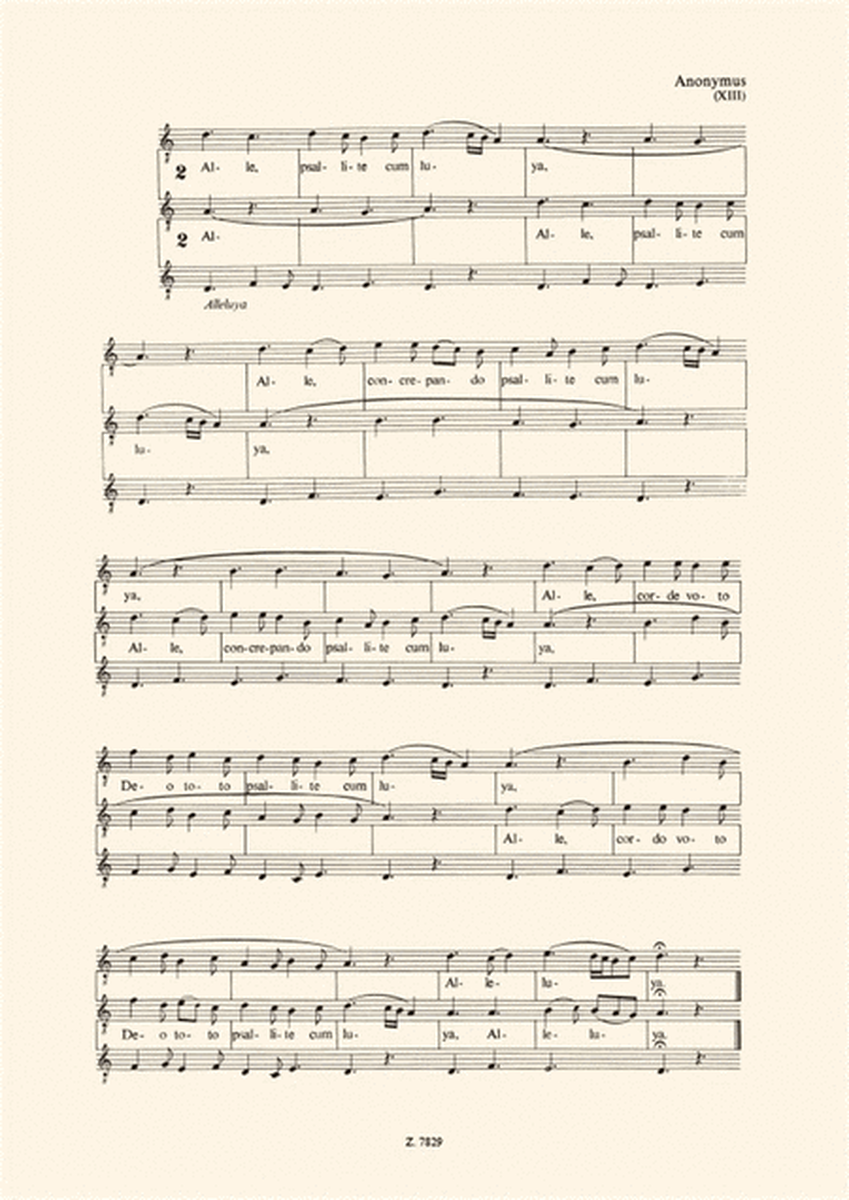Schola cantorum XII Zwei- und dreistimmige Motett