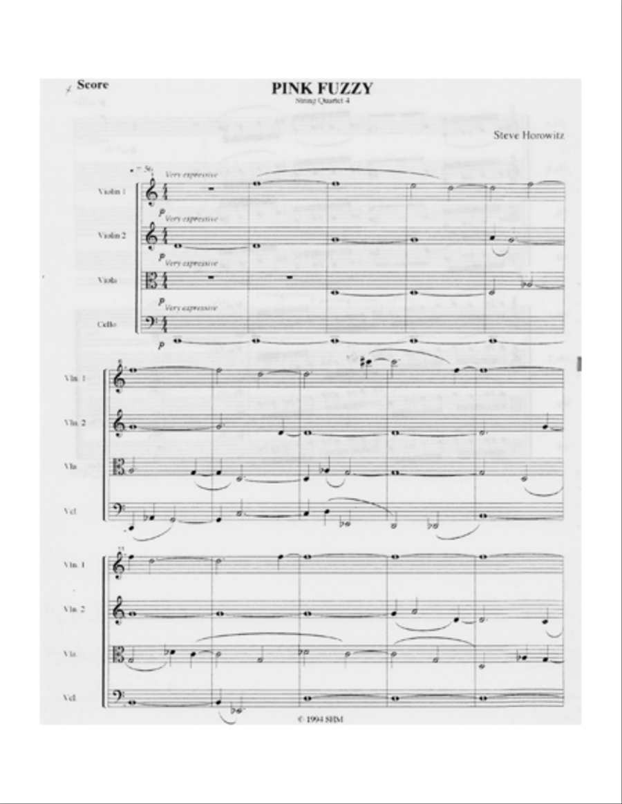 String Quartet #1-Remote Control String Quartet scores gallery preview page 5