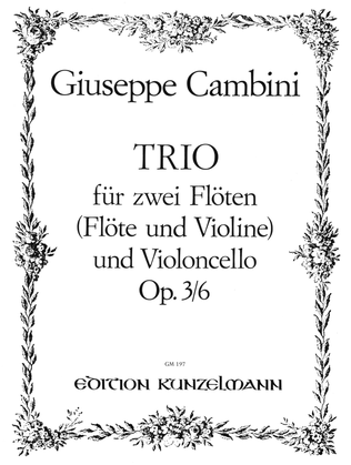 Book cover for Trio for 2 flutes and violoncello