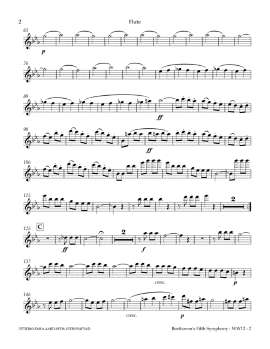 Beethoven's Fifth Symphony, 1st Movement Woodwind Quintet scores gallery preview page 4