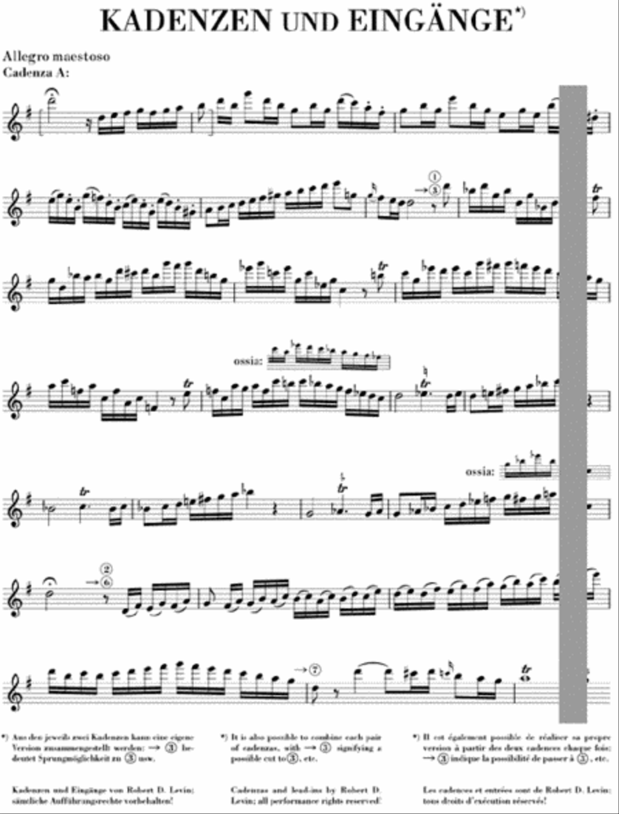 Concerto for Flute and Orchestra G major KV 313 Flute Solo scores gallery preview page 6