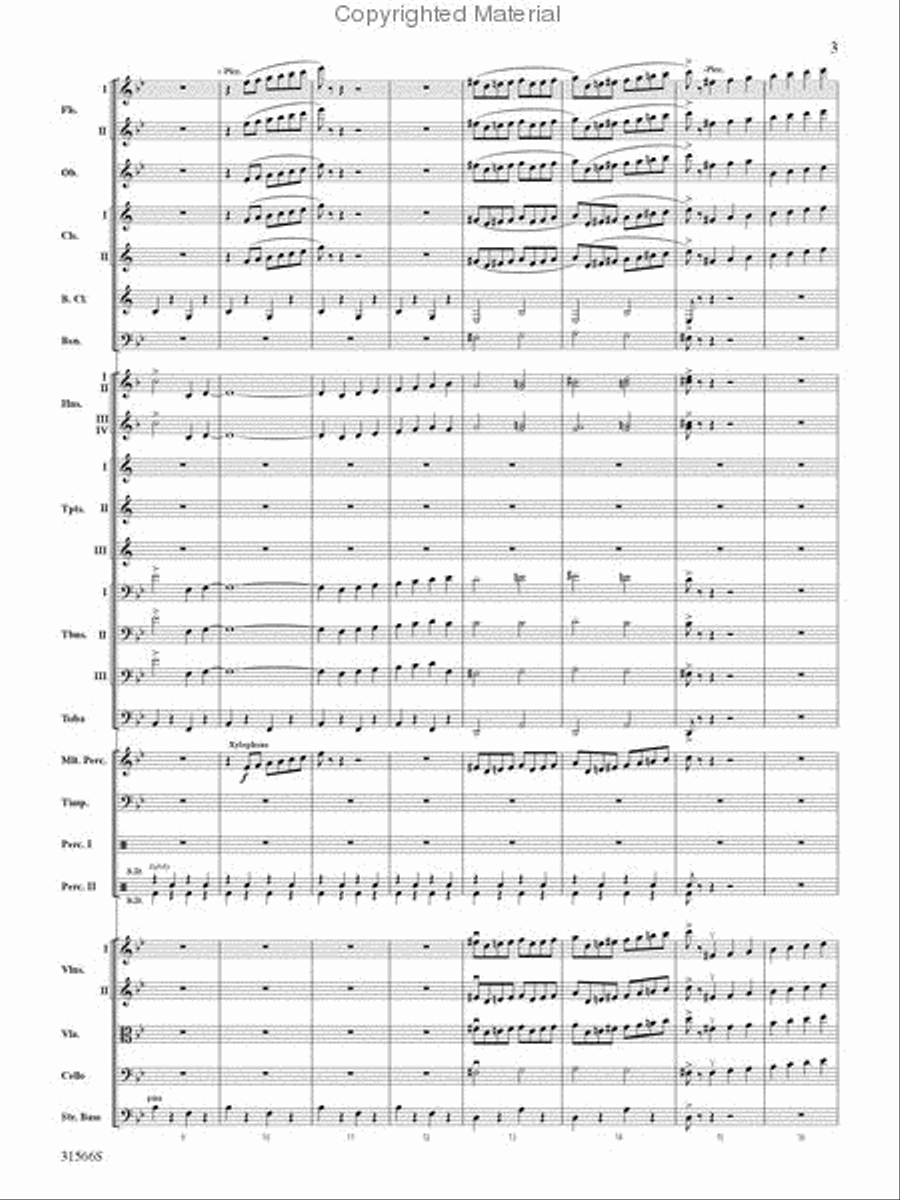 Salute to the Cinema Salute to the Cinema Full Orchestra scores gallery preview page 3