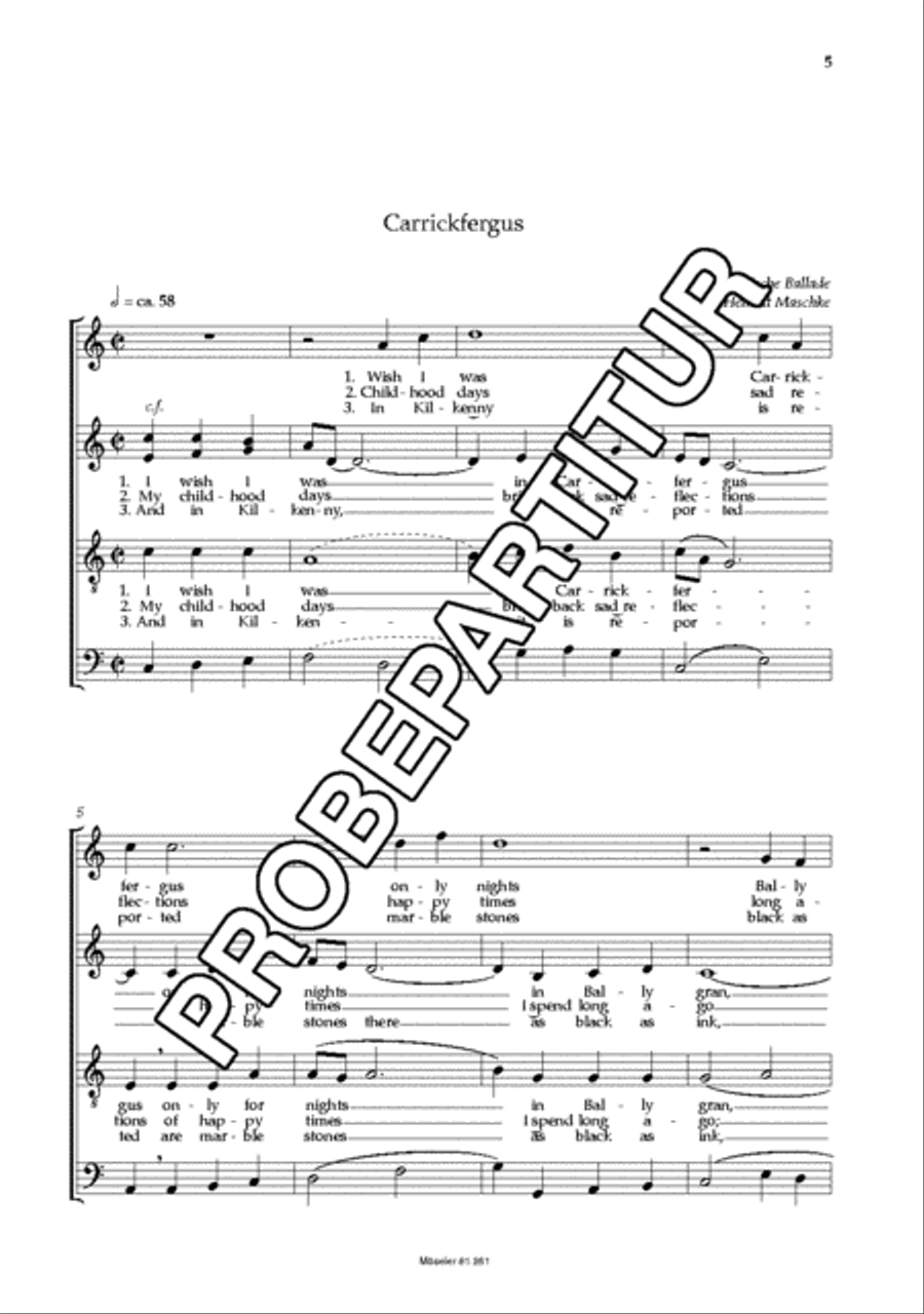 Vier irische Folksongs 4-Part scores gallery preview page 6
