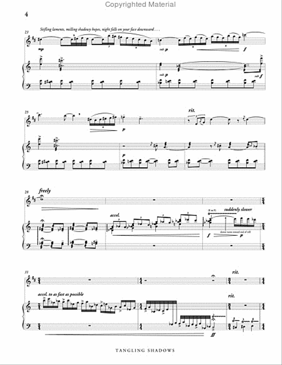 Tangling Shadows, Version 2 (score & parts) B-Flat Clarinet scores gallery preview page 5