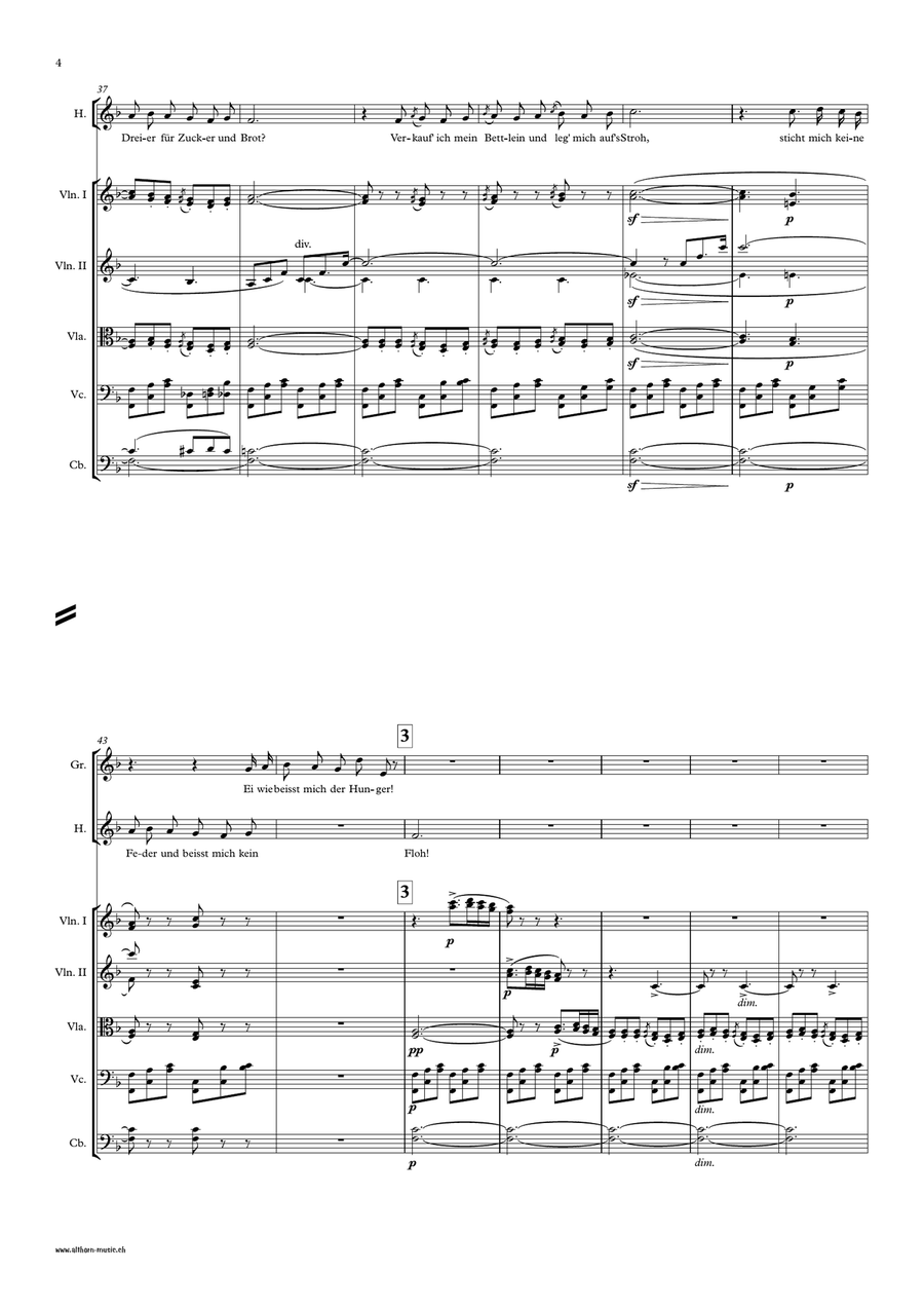 Suse, liebe Suse Chamber Orchestra scores gallery preview page 5