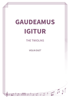 Book cover for Gaudeamus igitur
