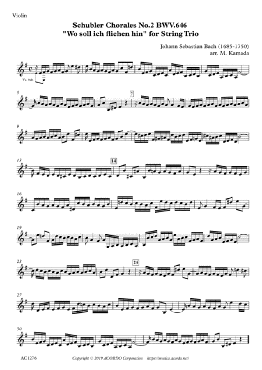 Six Schubler Chorales No.2 BWV.646 
