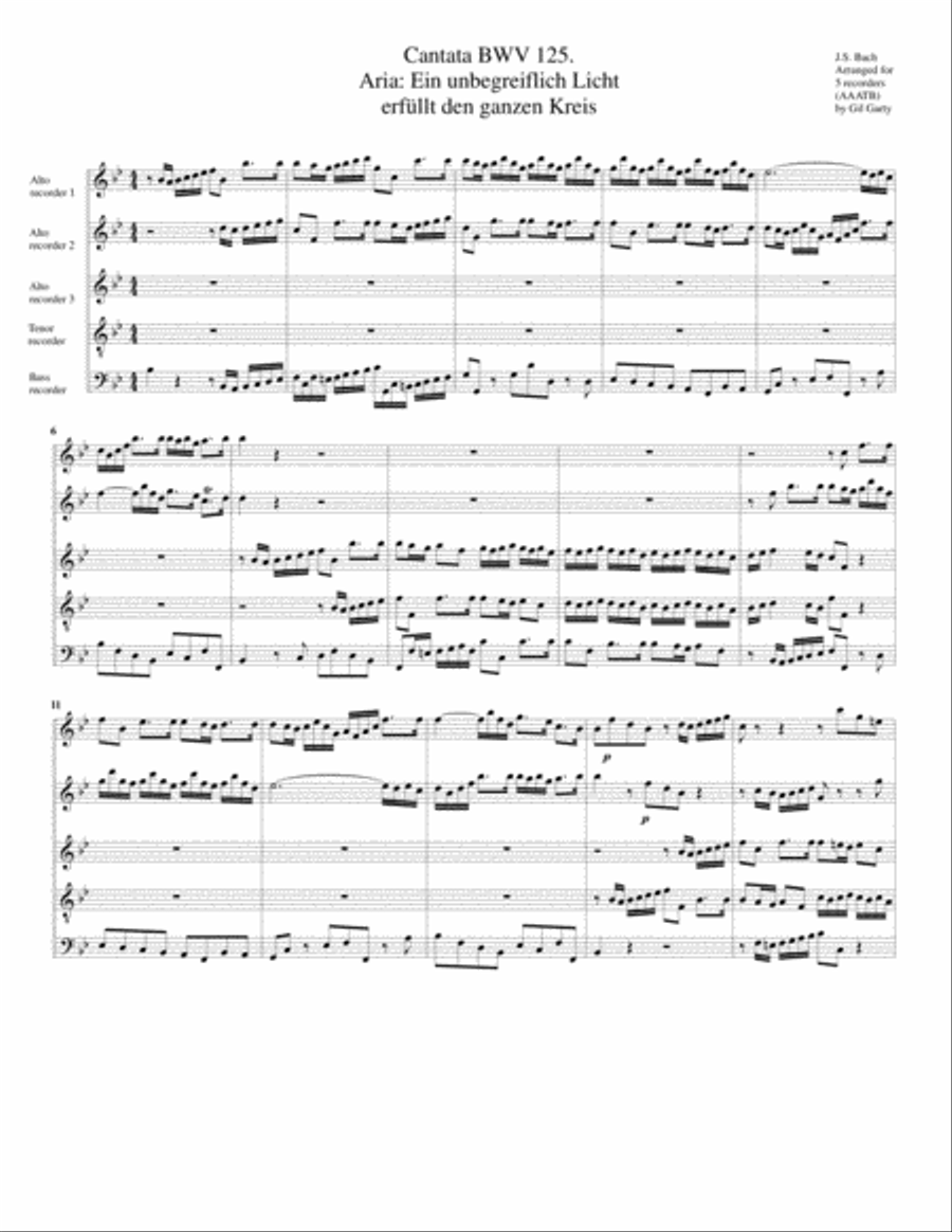 Aria: Ein unbegreiflich Licht erfuellt den ganzen Kreis from Cantata BWV 125 (Version in B flat majo Recorder scores gallery preview page 1