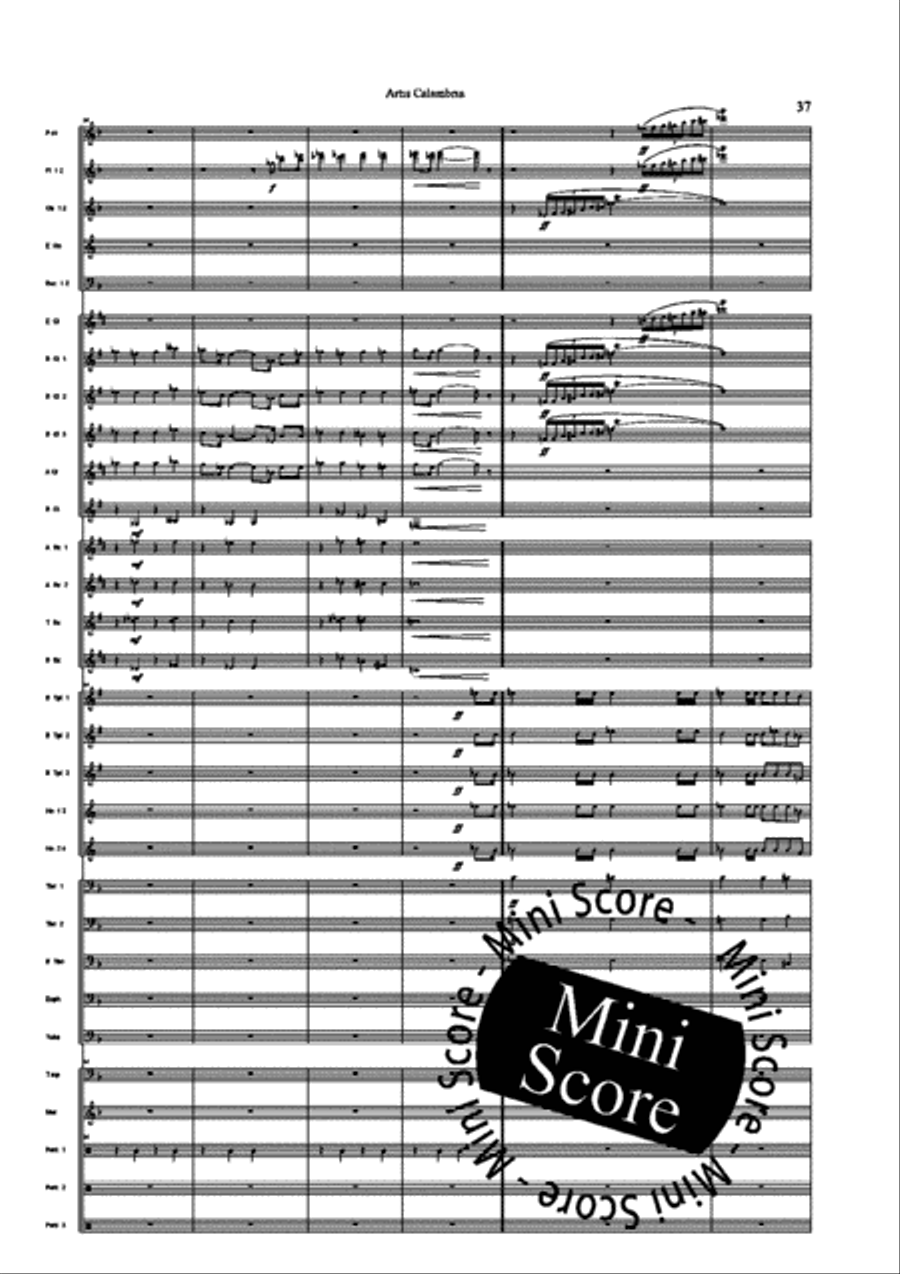 Artis Calambria Artis Calambria Concert Band scores gallery preview page 39