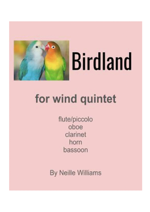 Book cover for Birdland