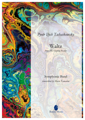 Book cover for Waltz