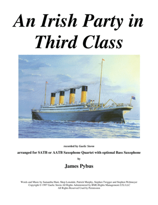 Book cover for An Irish Party In Third Class