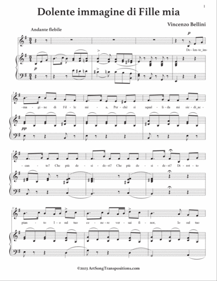 BELLINI: Dolente immagine di Fille mia (transposed to E minor) Voice scores gallery preview page 2