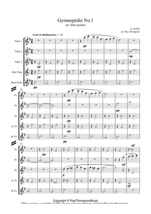 Book cover for Satie: Gymnopedie No.1- flute quintet
