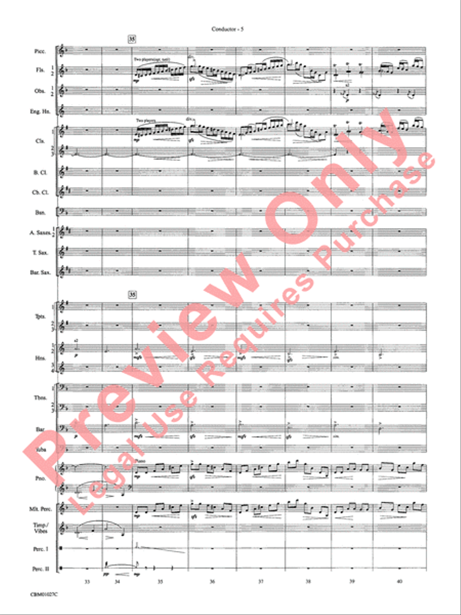Harry Potter Symphonic Suite Concert Band scores gallery preview page 8