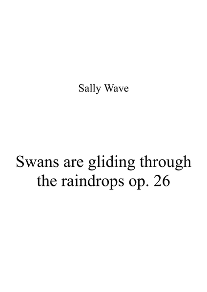 Swans are gliding through the raindrops op. 26 trio for flute violin and harp
