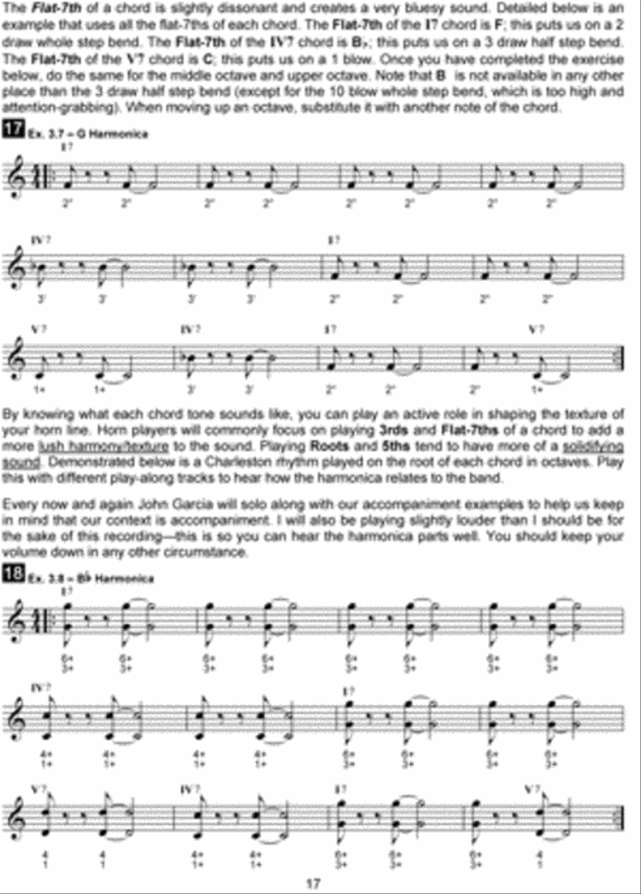 Blues Harmonica Accompaniment Playing Harmonica scores gallery preview page 2