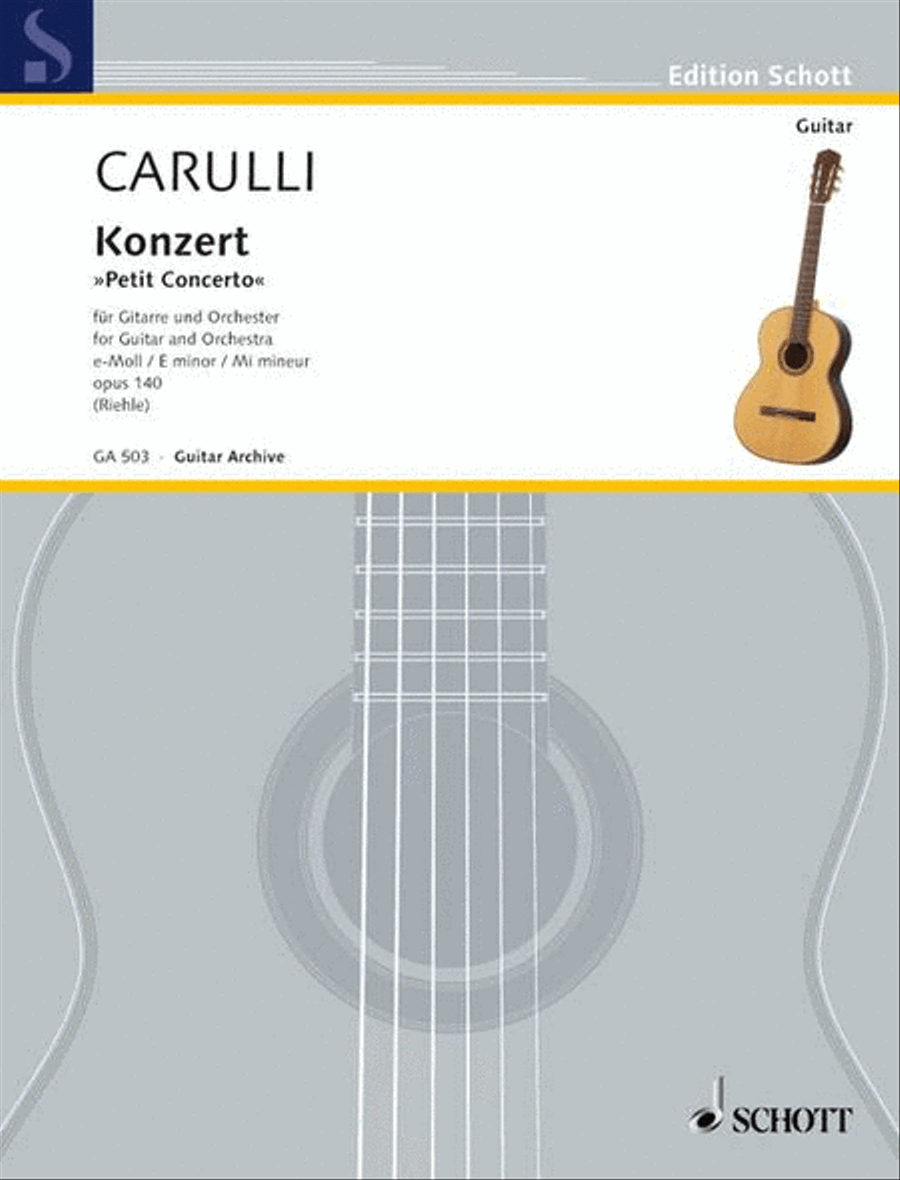 Concerto in E Minor, Op. 140 Acoustic Guitar scores gallery preview page 1