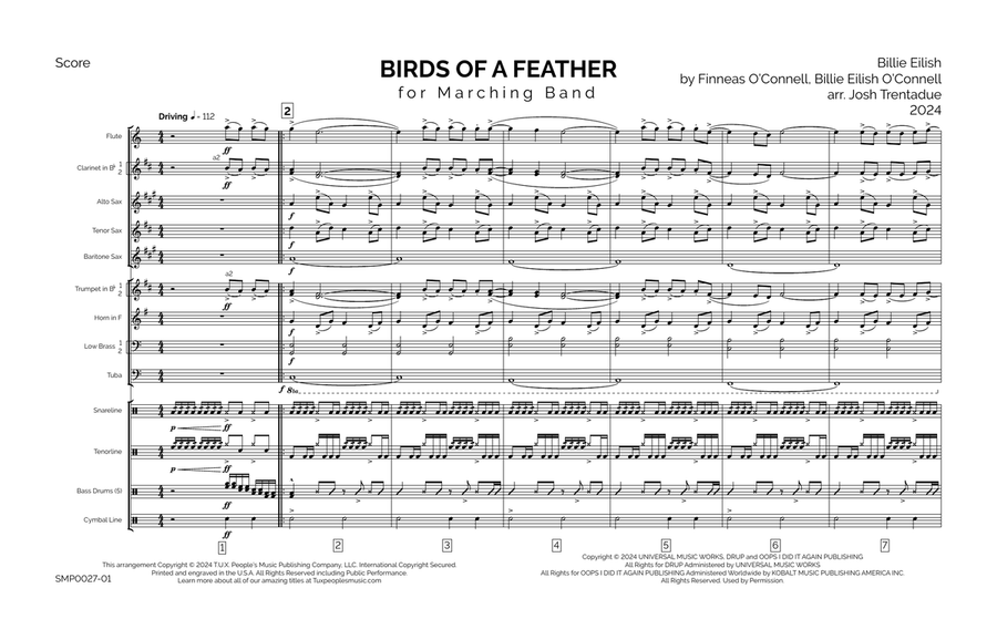 Birds Of A Feather Marching Band scores gallery preview page 2