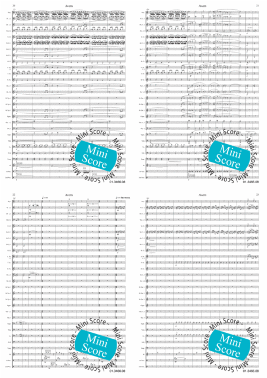 Avern Concert Band scores gallery preview page 7