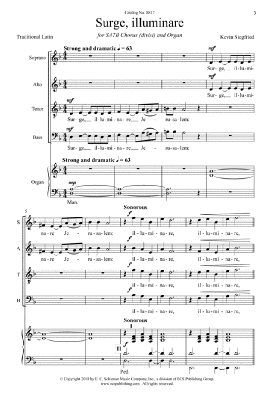 Surge, illuminare from Vidimus stellam Divisi scores gallery preview page 3