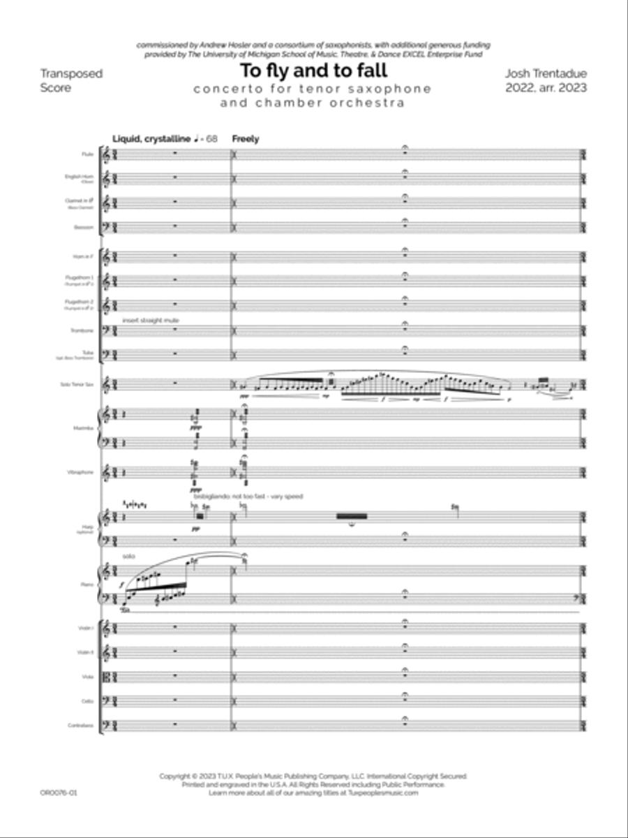 To fly and to fall (Concerto for Tenor Saxophone & Chamber Orchestra) Chamber Orchestra scores gallery preview page 5