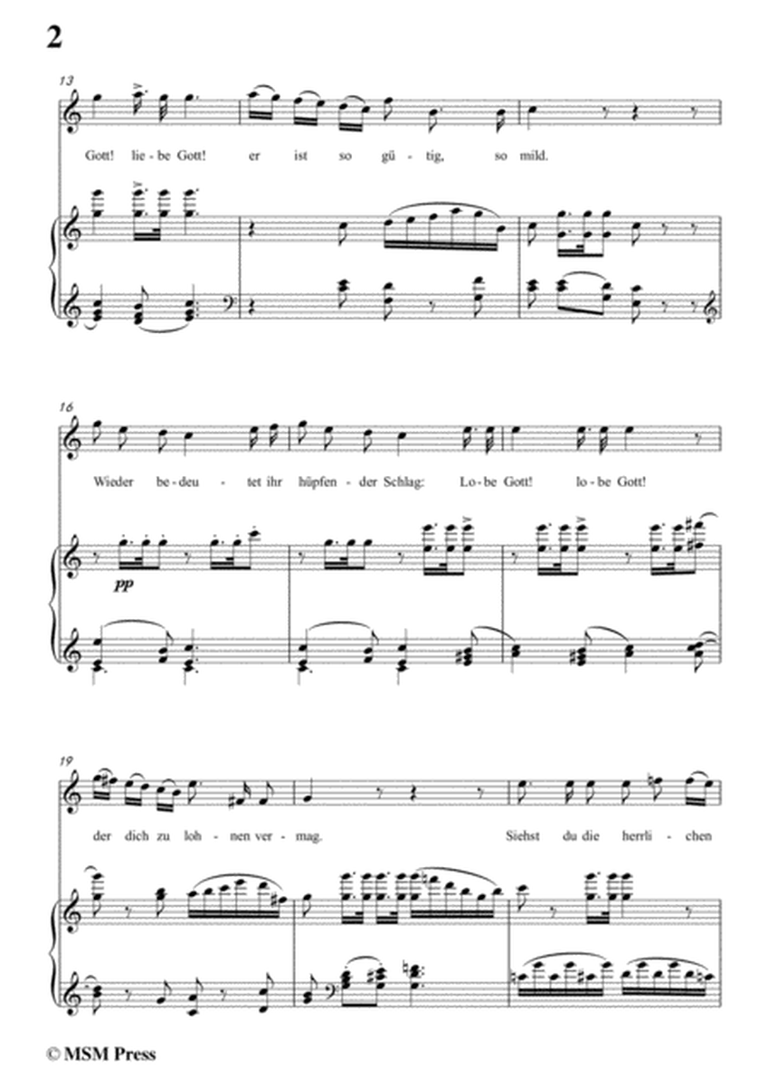 Schubert-Der Wachtelschlag,Op.68,in C Major,for Voice&Piano image number null