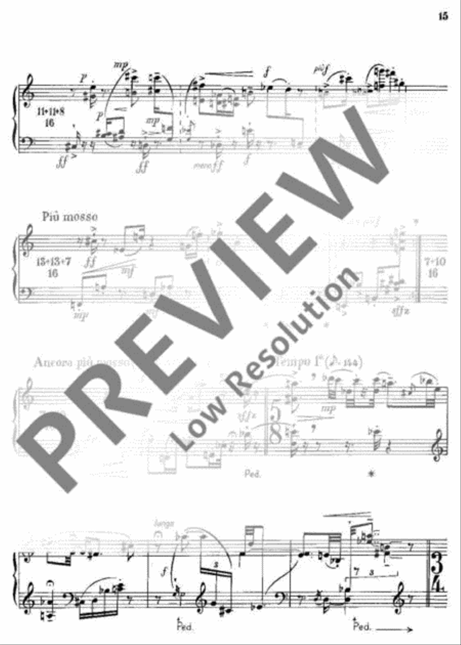 Sonata No. 1 Sonata No. 1 Piano Solo scores gallery preview page 16