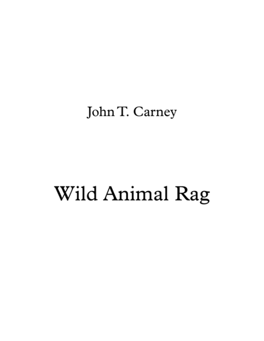 Wild Animal Rag image number null