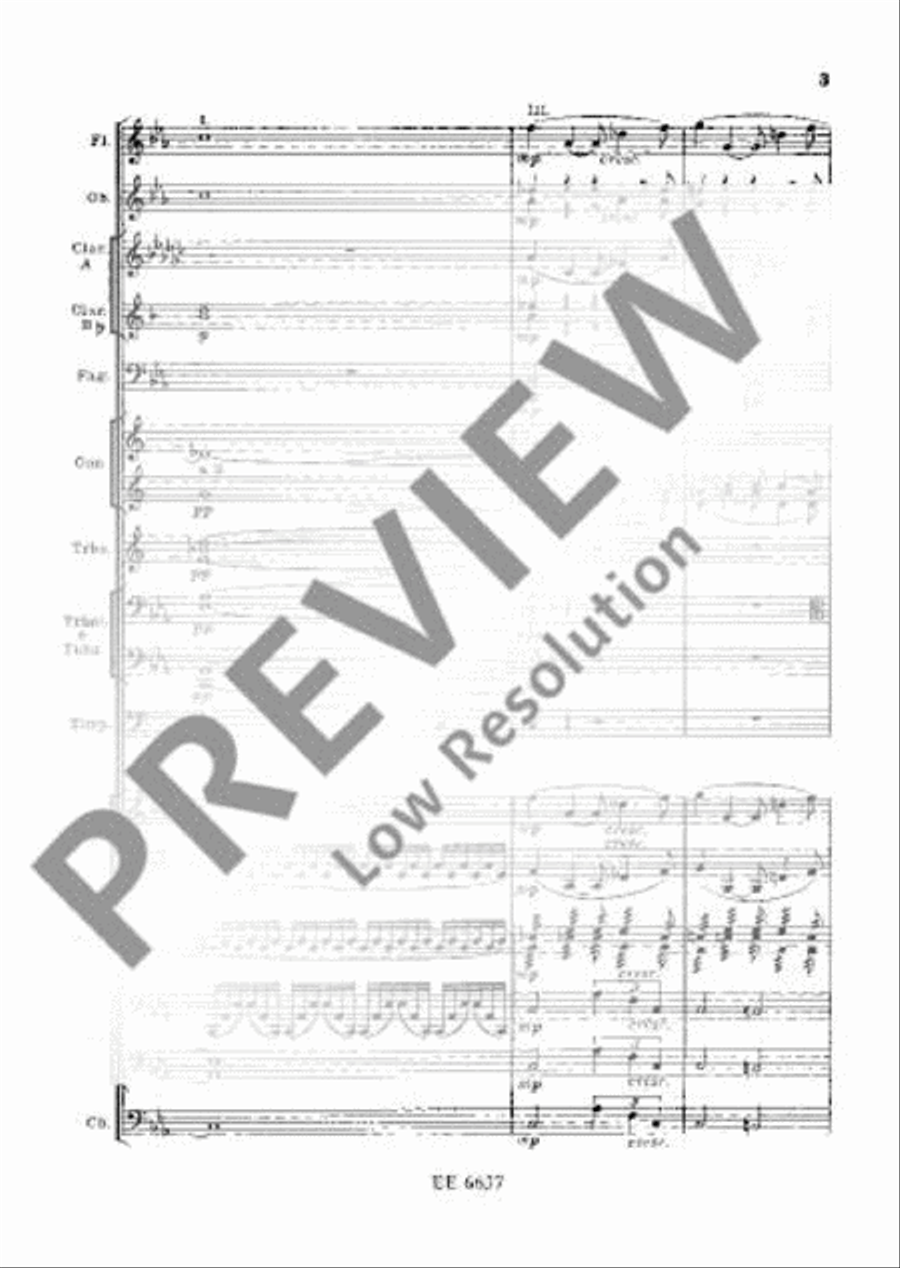 Symphony No. 2 C minor Orchestra scores gallery preview page 12