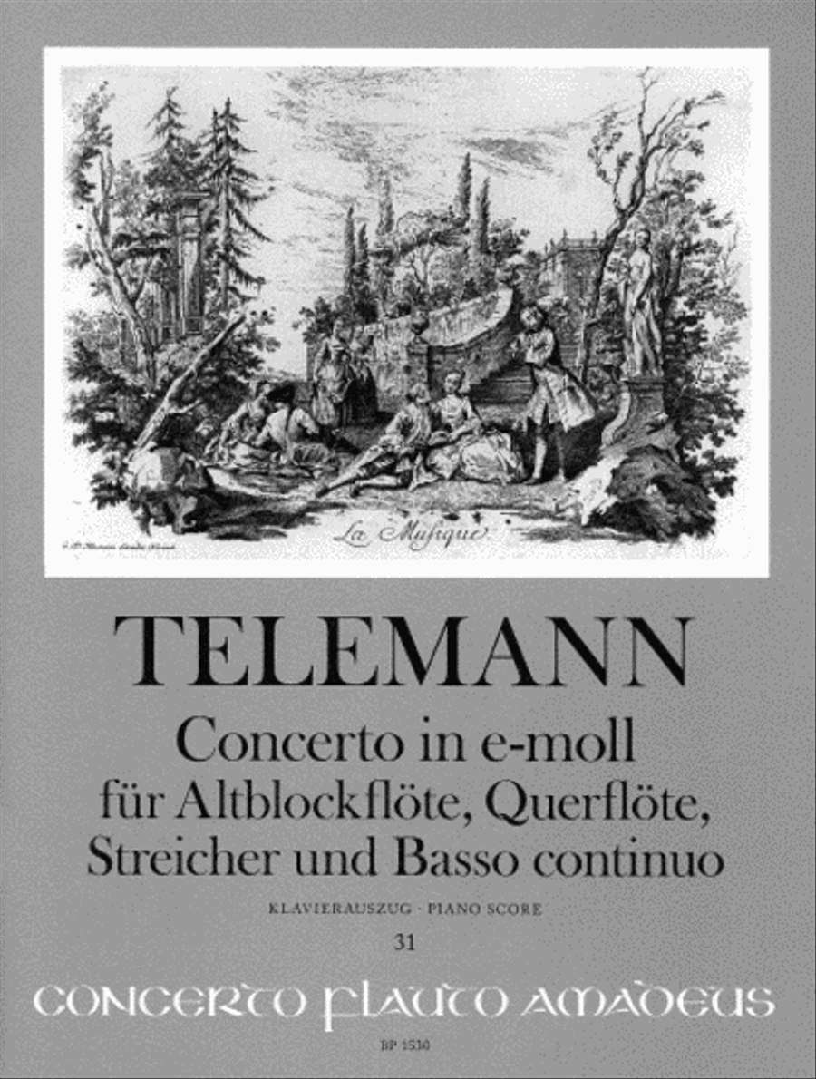 Concerto in E minor Flute scores gallery preview page 1