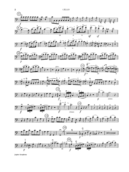 Jupiter Symphony, 1st Movement: Cello