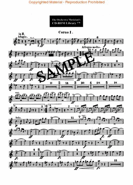 Dvorak, Rimsky-Korsakov and More - Volume V (Horn)
