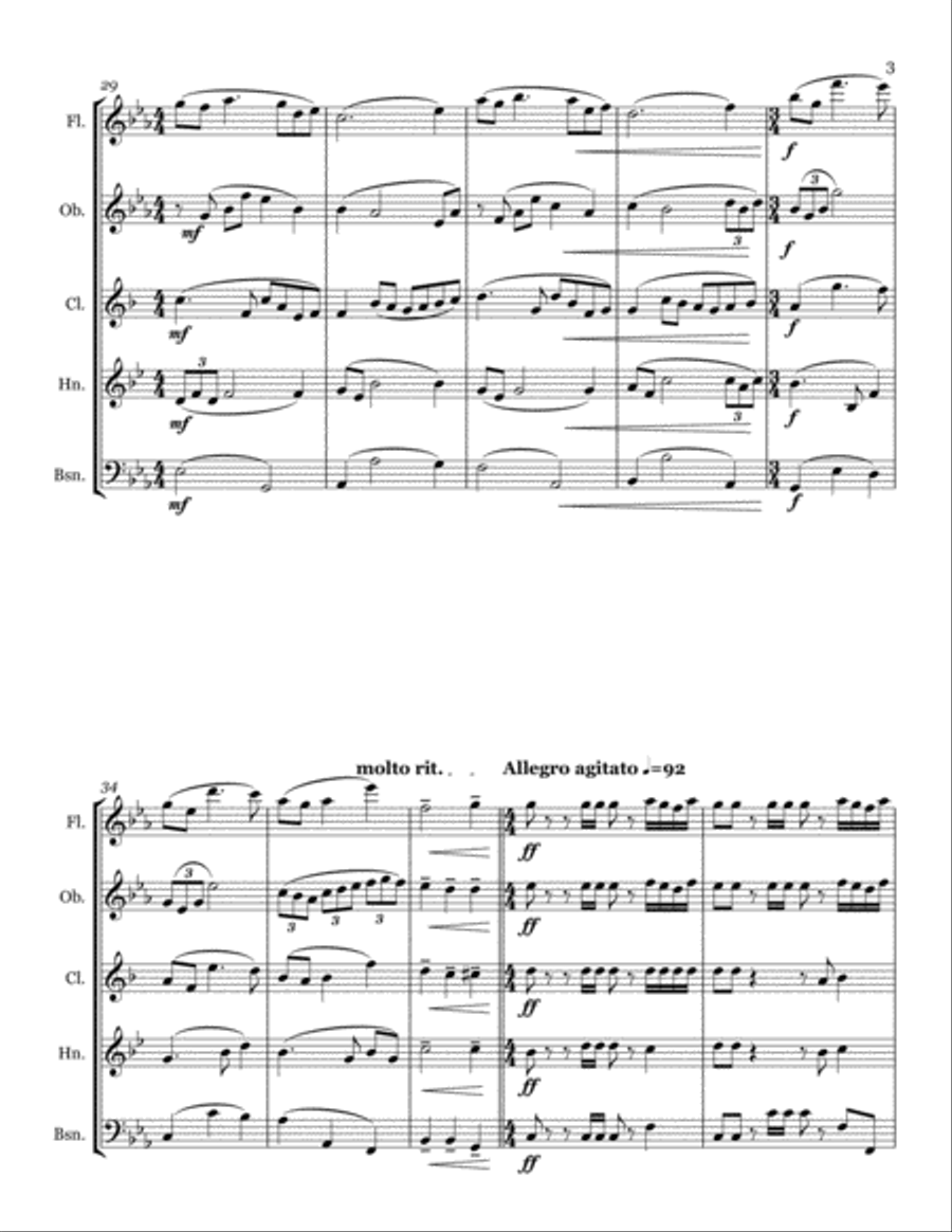 Woodwind Quintet Woodwind Quintet scores gallery preview page 3