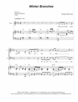Winter Branches (2-part choir - (TB)