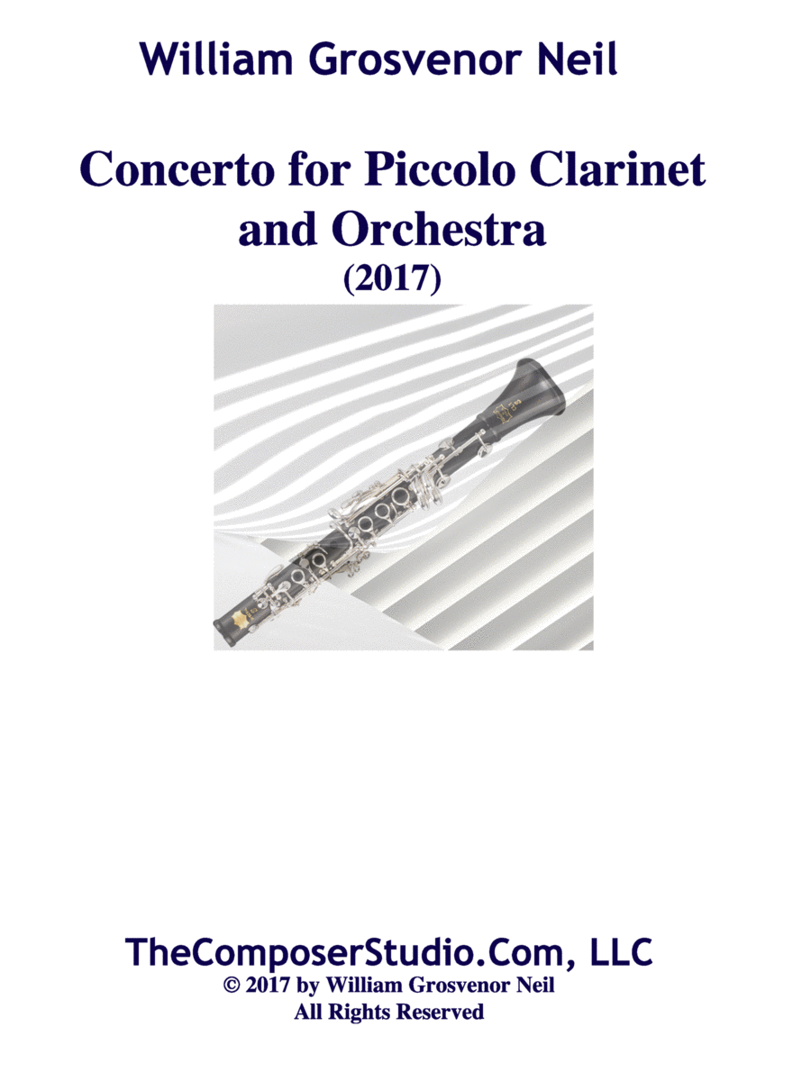 Concerto for Piccolo Clarinet and Chamber Orchestra Chamber Orchestra scores gallery preview page 1