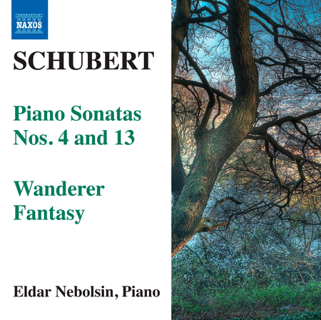 Schubert: Piano Sonatas; Wande image number null