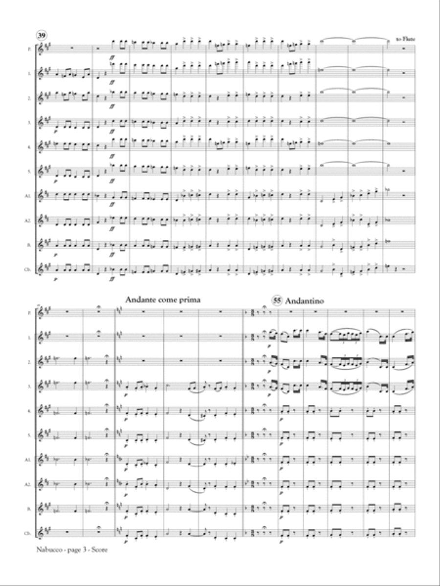 Nabucco Overture for Flute Orchestra Flute Choir scores gallery preview page 3