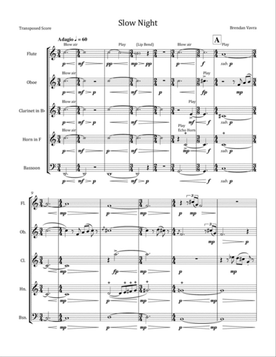 Slow Night Slow Night Woodwind Quintet scores gallery preview page 3