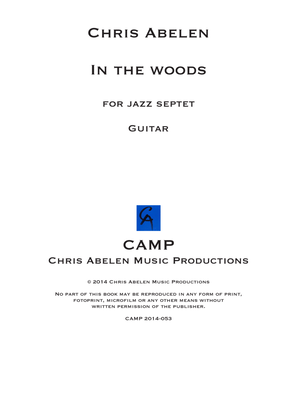 In the woods - guitar