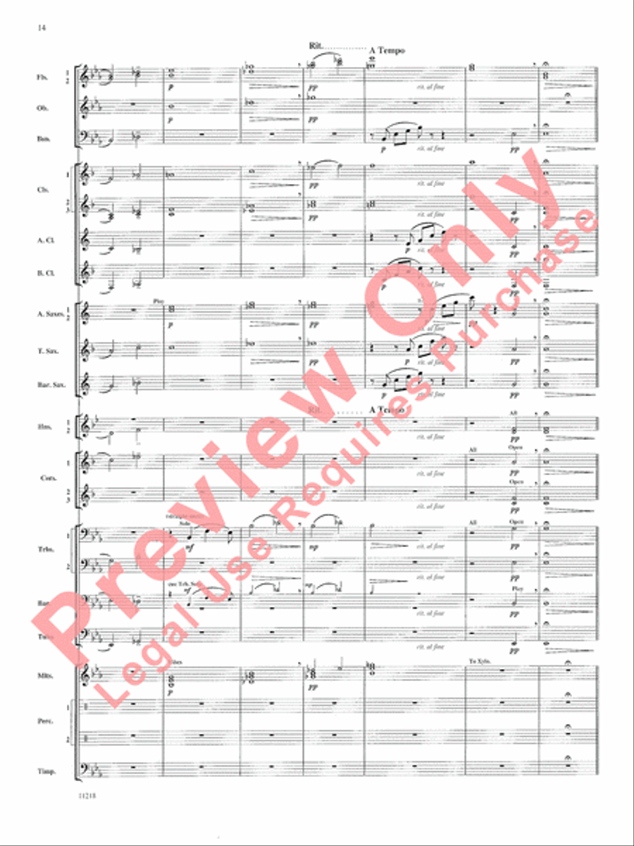 Scenes of Wonder Concert Band scores gallery preview page 15