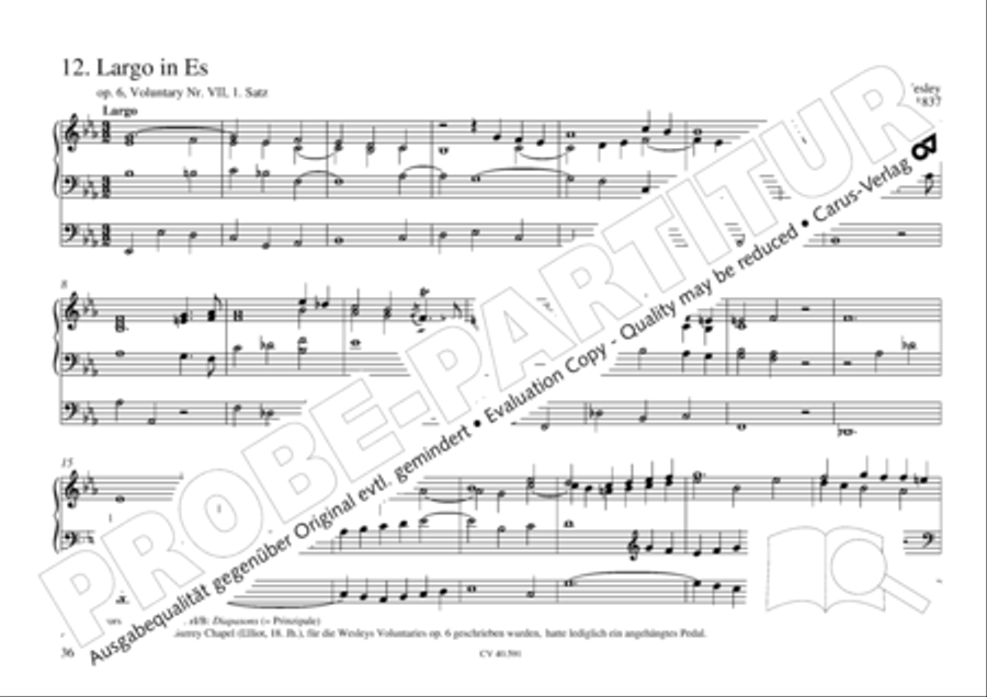 Free Organ Music from the Romantic Period, Vol. III (Freie Orgelmusik der Romantik, Band III) Organ scores gallery preview page 37