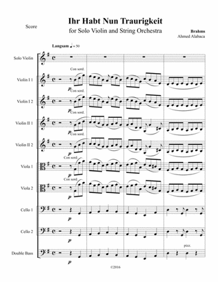 "Ihr Habt Nun Traurigkeit" from Brahms Requiem for Solo Violin and String orchestra