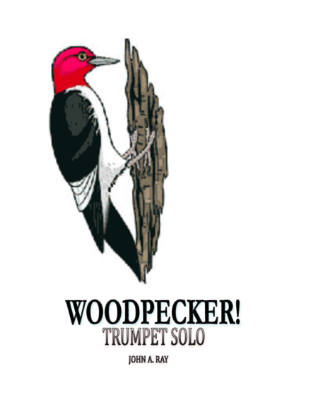 WOODPECKER! image number null