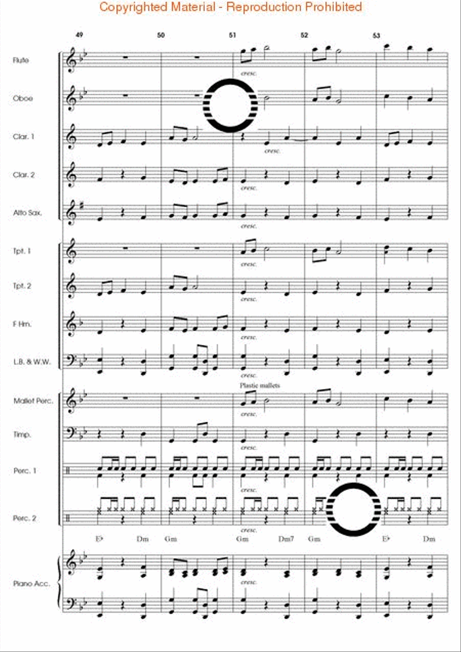 Fandango El Dorado Concert Band scores gallery preview page 14