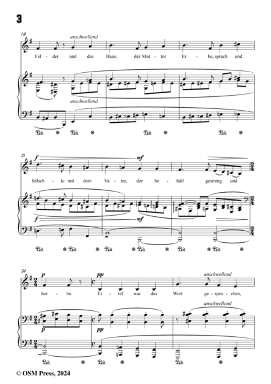 A. Jensen-Denke,denke,mein Geliebter,Op.30 No.4,in G Major Voice scores gallery preview page 4