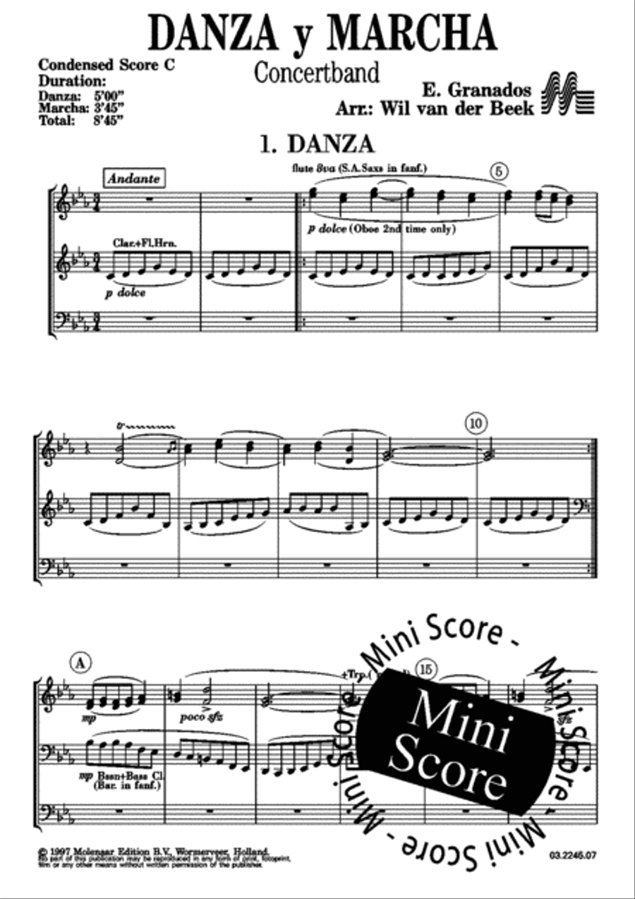 Danza Y Marcha Danza Y Marcha Concert Band scores gallery preview page 25