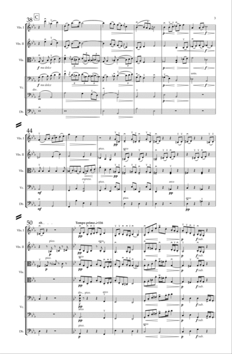 Reinecke Serenade for Strings Op. 242 String Orchestra scores gallery preview page 3