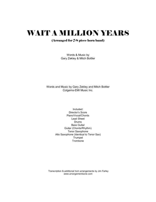 Book cover for Wait A Million Years